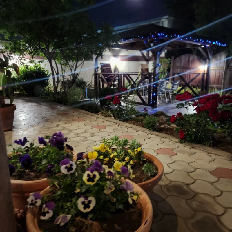 The garden path with pots of pansies and the lit gazebo at the far end